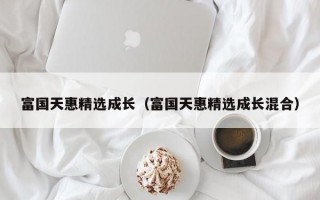 富国天惠精选成长（富国天惠精选成长混合）