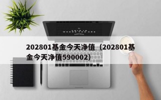 202801基金今天净值（202801基金今天净值590002）