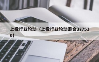 上投行业轮动（上投行业轮动混合377530）