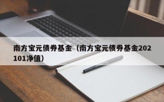 南方宝元债券基金（南方宝元债券基金202101净值）