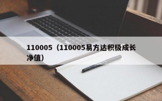 110005（110005易方达积极成长净值）