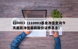 110003（110003基金净值查询今天最新净值最新股价证券基金）