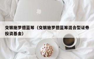 交银施罗德蓝筹（交银施罗德蓝筹混合型证券投资基金）