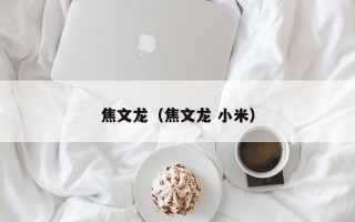 焦文龙（焦文龙 小米）