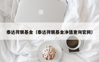 泰达荷银基金（泰达荷银基金净值查询官网）