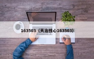 163503（天治核心163503）