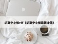 华夏中小板etf（华夏中小板最新净值）