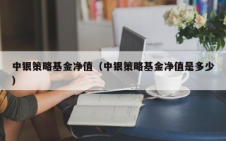 中银策略基金净值（中银策略基金净值是多少）