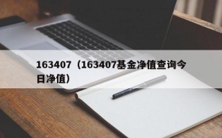 163407（163407基金净值查询今日净值）