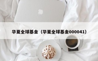 华夏全球基金（华夏全球基金000041）