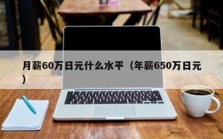 月薪60万日元什么水平（年薪650万日元）