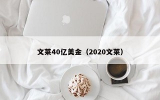 文莱40亿美金（2020文莱）