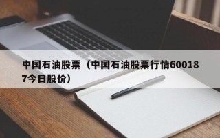 中国石油股票（中国石油股票行情600187今日股价）