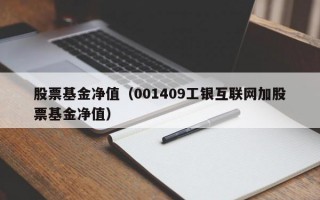 股票基金净值（001409工银互联网加股票基金净值）