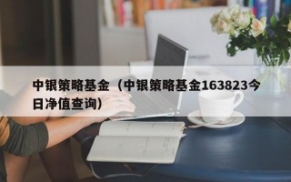 中银策略基金（中银策略基金163823今日净值查询）