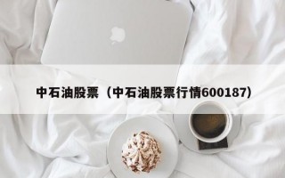 中石油股票（中石油股票行情600187）