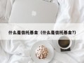 什么是信托基金（什么是信托基金?）