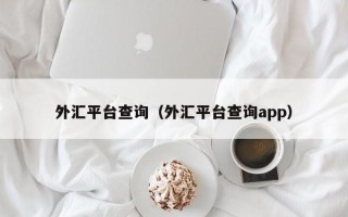 外汇平台查询（外汇平台查询app）