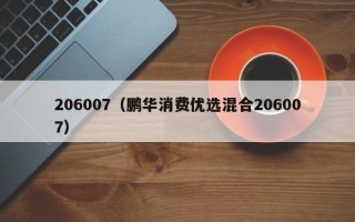 206007（鹏华消费优选混合206007）