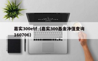 嘉实300etf（嘉实300基金净值查询160706）