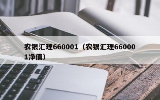 农银汇理660001（农银汇理660001净值）