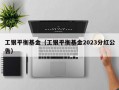 工银平衡基金（工银平衡基金2023分红公告）