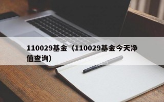 110029基金（110029基金今天净值查询）