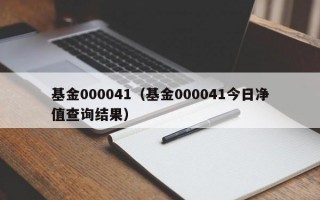 基金000041（基金000041今日净值查询结果）