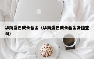 华商盛世成长基金（华商盛世成长基金净值查询）