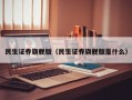 民生证券旗舰版（民生证券旗舰版是什么）