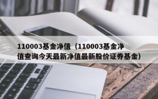 110003基金净值（110003基金净值查询今天最新净值最新股价证券基金）