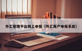 外汇管理平台网上申报（外汇账户申报系统）