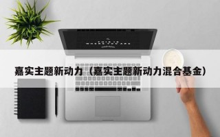 嘉实主题新动力（嘉实主题新动力混合基金）