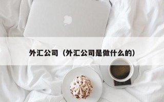 外汇公司（外汇公司是做什么的）