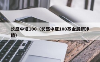 长盛中证100（长盛中证100基金最新净值）