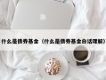 什么是债券基金（什么是债券基金白话理解）