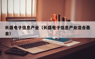 长盛电子信息产业（长盛电子信息产业混合基金）