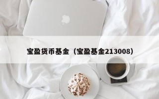 宝盈货币基金（宝盈基金213008）