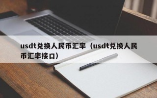 usdt兑换人民币汇率（usdt兑换人民币汇率接口）