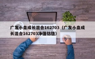 广发小盘成长混合162703（广发小盘成长混合162703净值估值）