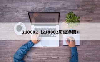 210002（210002历史净值）