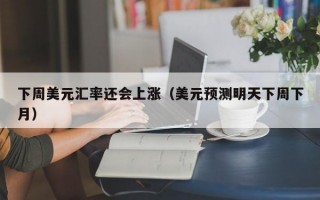 下周美元汇率还会上涨（美元预测明天下周下月）