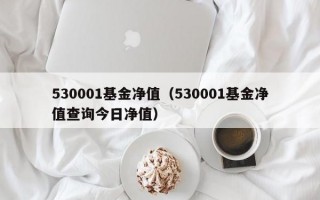 530001基金净值（530001基金净值查询今日净值）