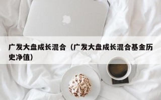 广发大盘成长混合（广发大盘成长混合基金历史净值）