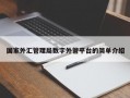 国家外汇管理局数字外管平台的简单介绍