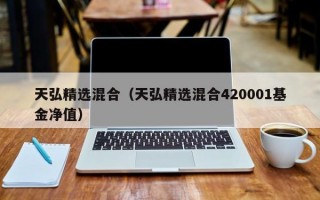 天弘精选混合（天弘精选混合420001基金净值）