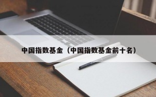 中国指数基金（中国指数基金前十名）