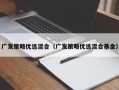 广发策略优选混合（广发策略优选混合基金）