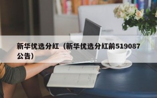 新华优选分红（新华优选分红前519087公告）