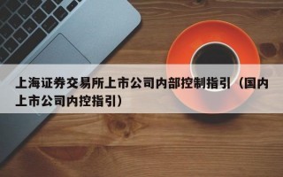 上海证券交易所上市公司内部控制指引（国内上市公司内控指引）